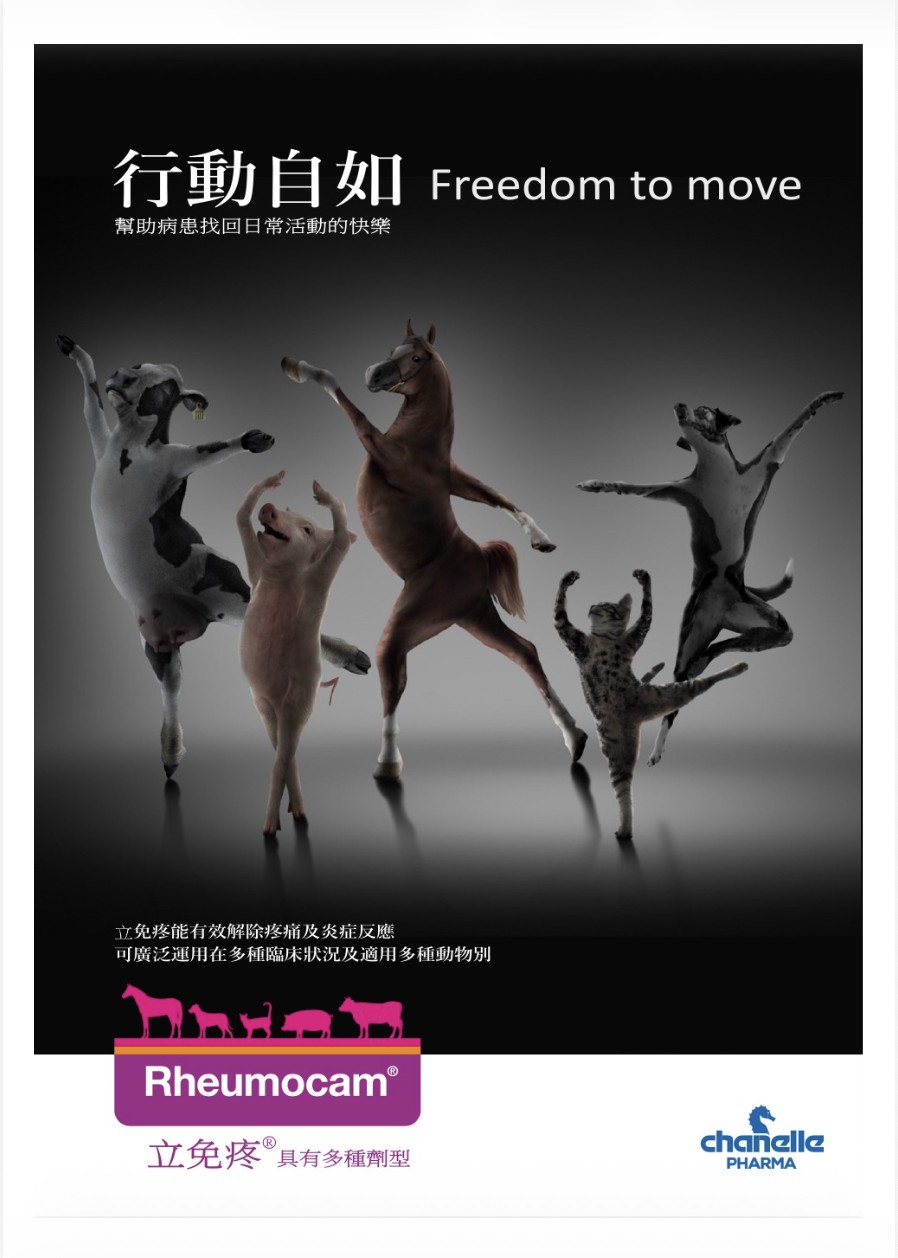 立免疼口服懸浮液劑（貓用）